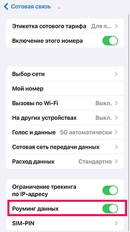 Настройка Роуминг данных выключена на iPhone